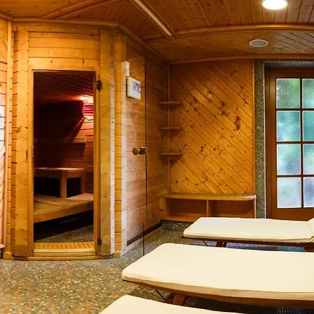 Hotel Panoramahotel Wagner - Biohotel Am 4*