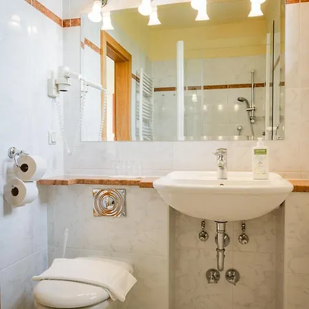 Panoramahotel Wagner - Biohotel Am 4*