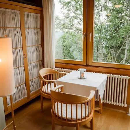 Hotel Panoramahotel Wagner - Biohotel Am