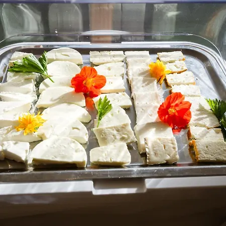 Hotel Panoramahotel Wagner - Biohotel Am 4*