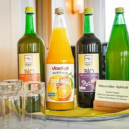 Panoramahotel Wagner - Biohotel Am 4* 塞默灵